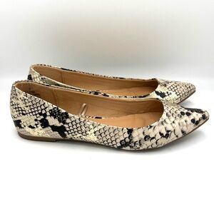EXPRESS Snake Print Pointed Toe Ballet Flats Metallic Gold Ivory Black Size 8